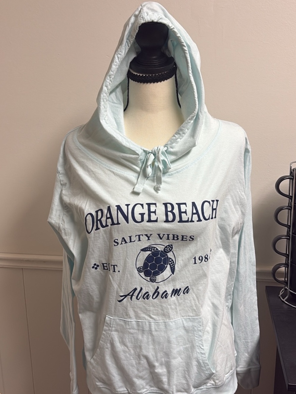 Orange Beach Alabama Salty Vibes Hooded Sweatshirt - Light Blue